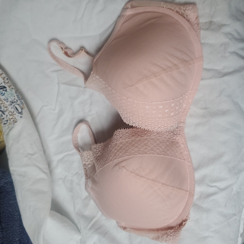 Incredible Victoria's Secret Plunge Bra - 38D US